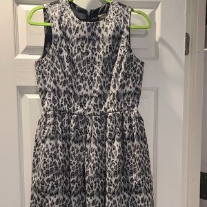 Taylor dress size 8P